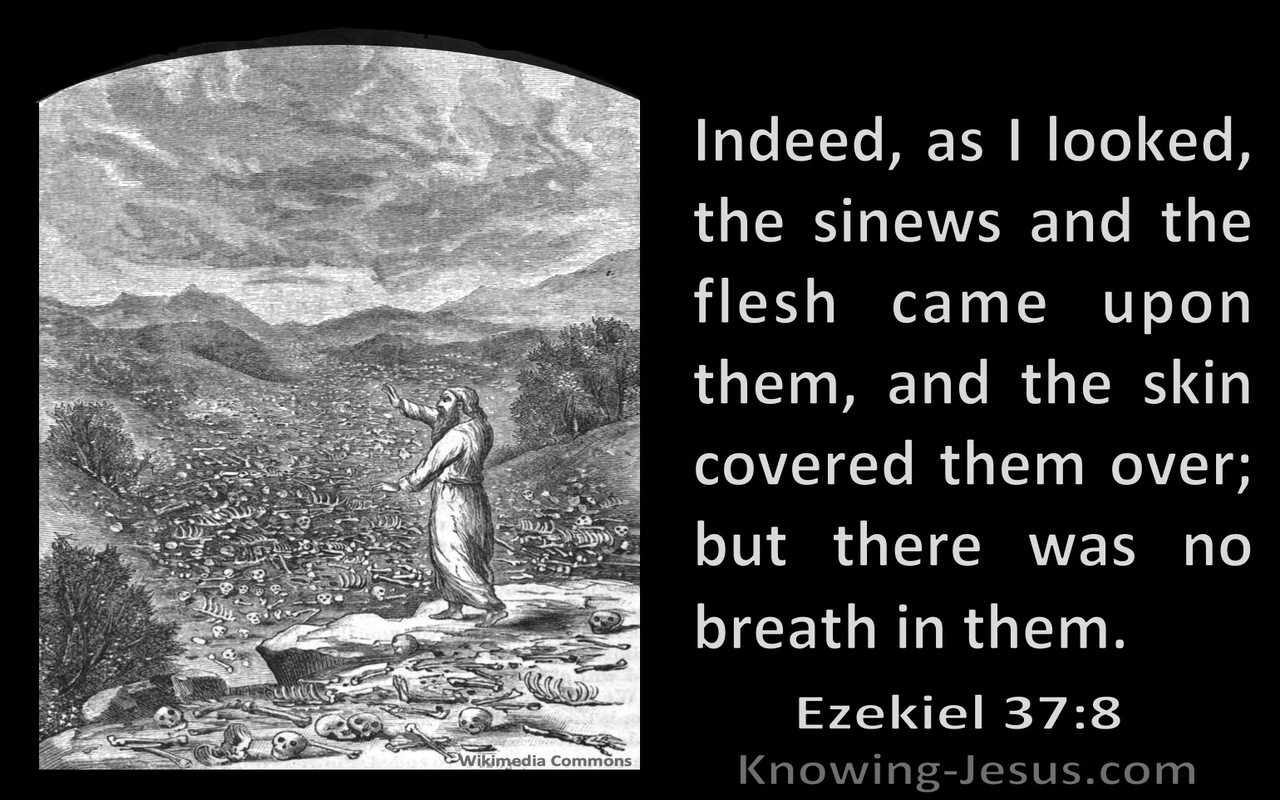 Ezekiel 37:8 As I Looked The Sinues And Flesh Came And The Skin Covered Them But There Was No Breath In Them (black)